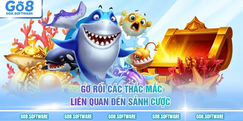 Gỡ rối các thắc mắc liên quan đến sảnh cược 
